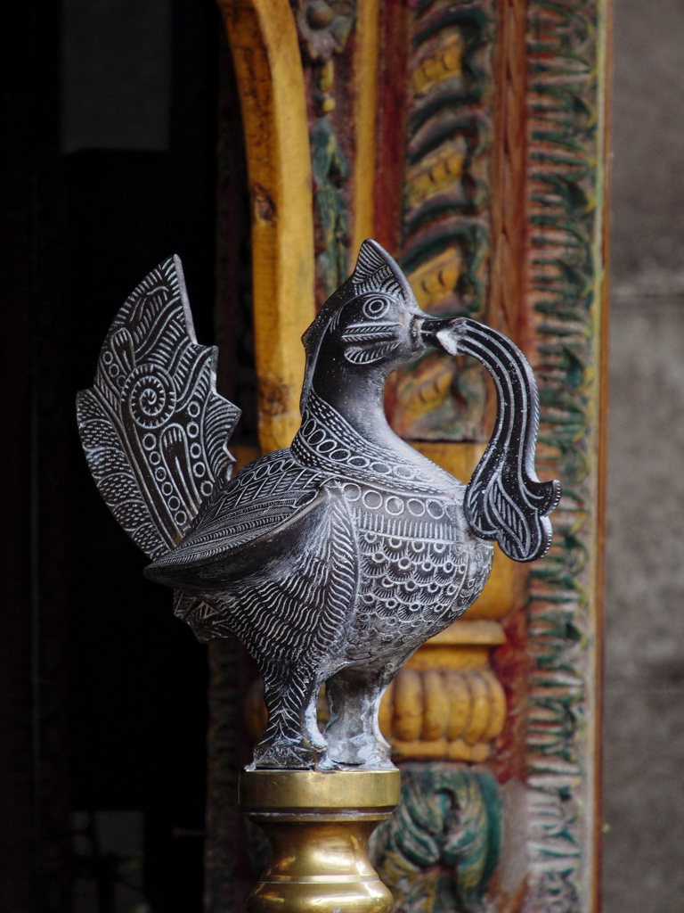 鳥も鳴かずば撮りやすい!!