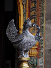 鳥も鳴かずば撮りやすい!!