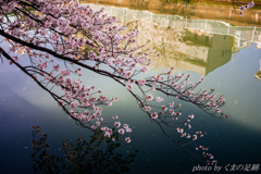 静かなる水面
