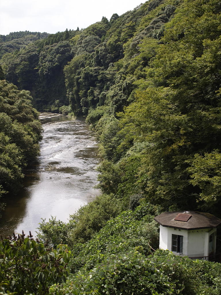 夏の終わりのムーミン谷