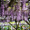4月20日 天神通信 3