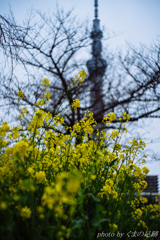 明日に希望を