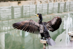 ハグしたいよ!!