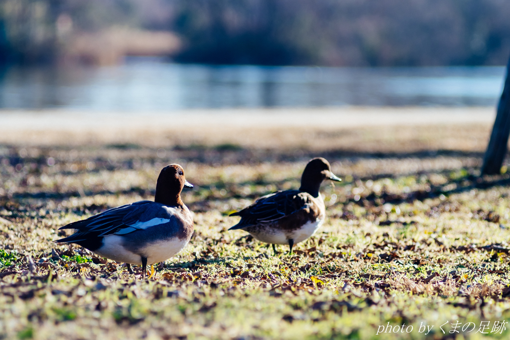 永遠なんてあるのかな