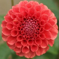 秋宴 ～ｼｭｳｴﾝ～ Ⅲ
