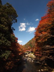 京都補完計画 其ノ拾玖