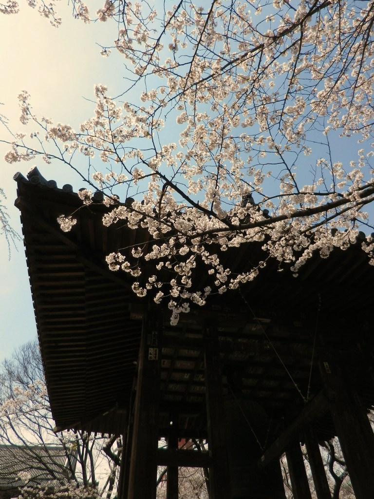突然の訪れⅣ