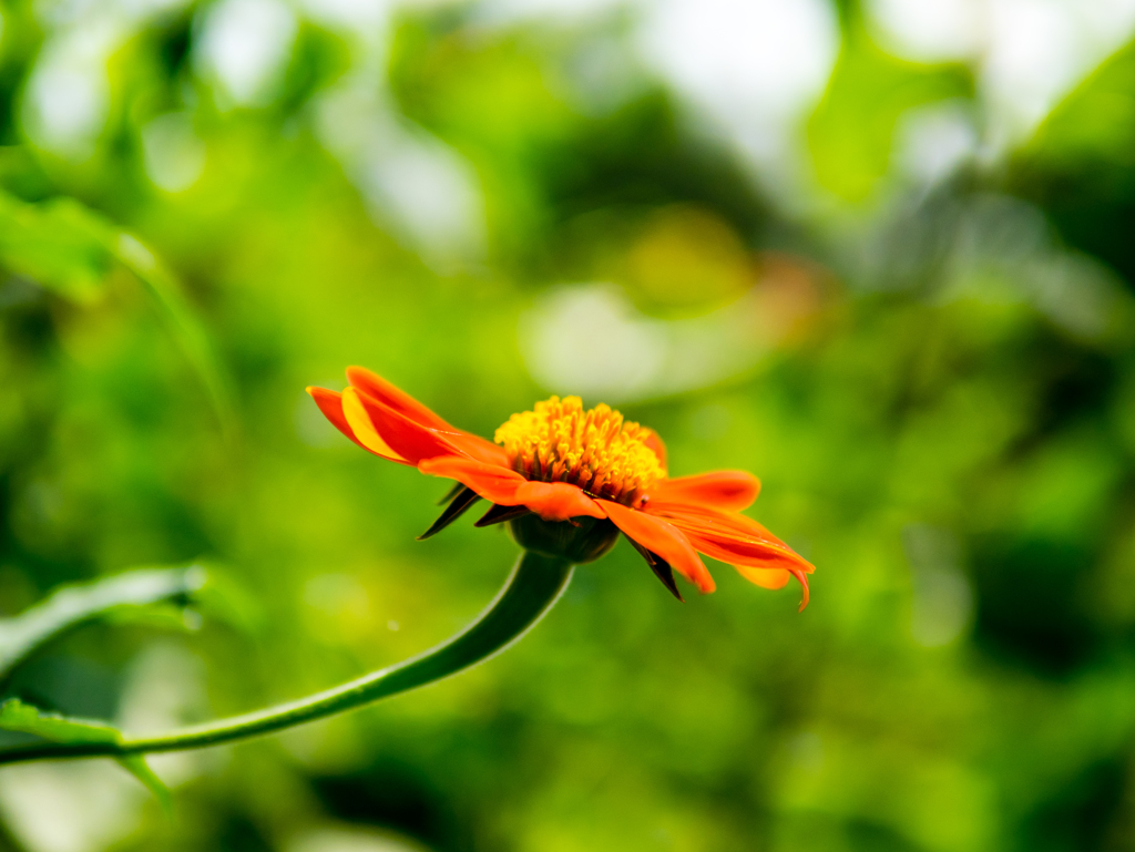 窓の外は雨･･･だけど。