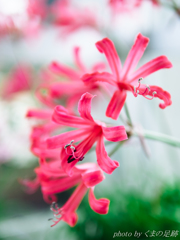 勇気をください