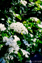 工業製品とひかり