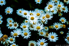 この感じですよ