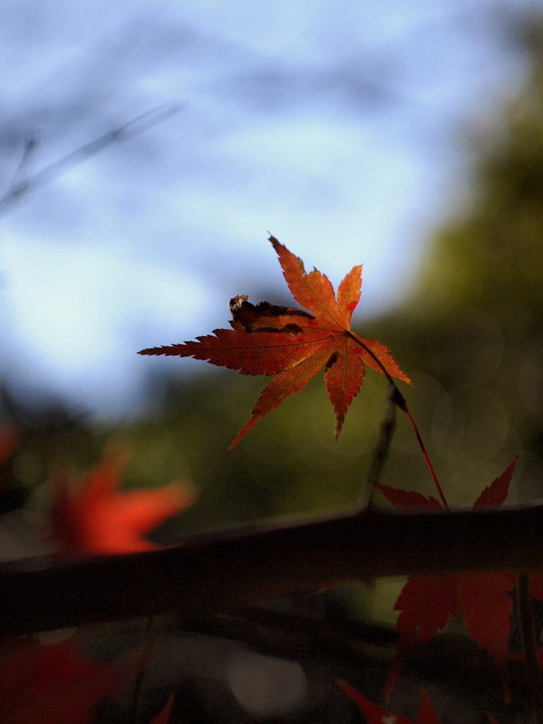 お疲れ様でした