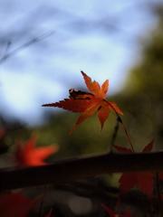 お疲れ様でした