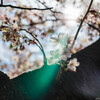 春の嵐近づく