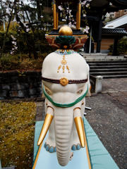 ぱぉ～