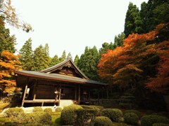 京都補完計画 其ノ伍拾捌