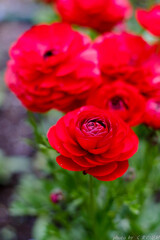 細部に宿るもの