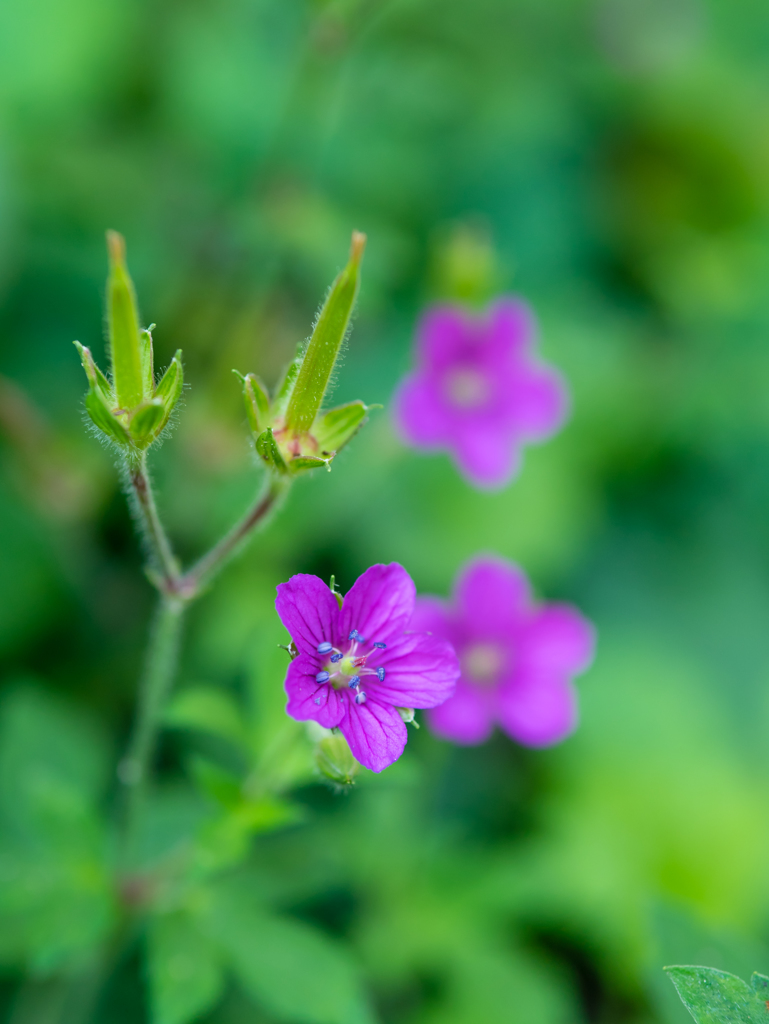 ちっちゃいよぉ～