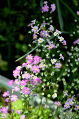 やさしさに包まれて