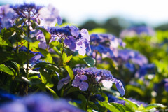 今日、この日を