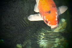 水面