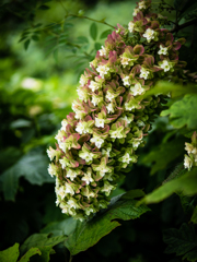 やさしくタッチ