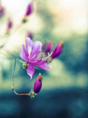 しなやかに　はる