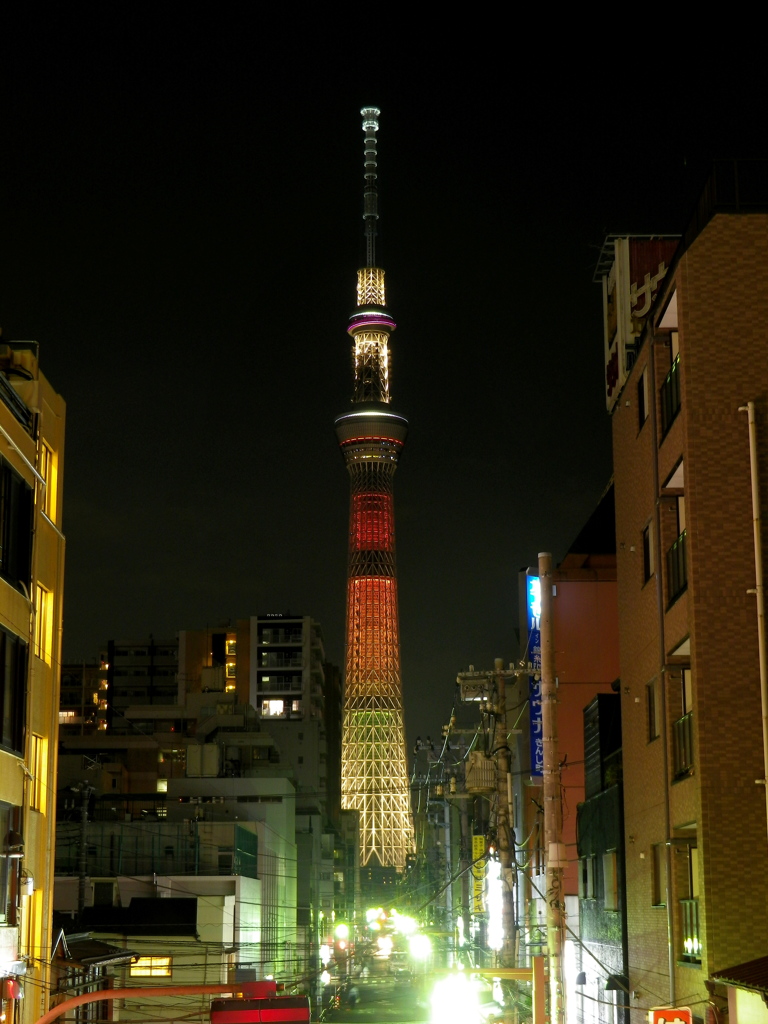 明花 19：16