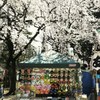 突然の訪れⅢ
