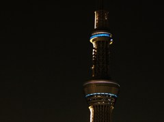月はどちっだ