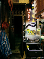 台湾鰻王
