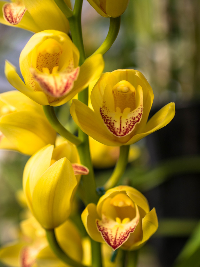 ハイ!!口を大きく開けて～