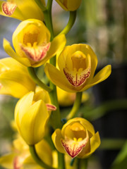 ハイ!!口を大きく開けて～