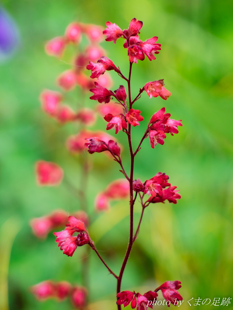 運命は変えられ･･･