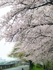 人見知り
