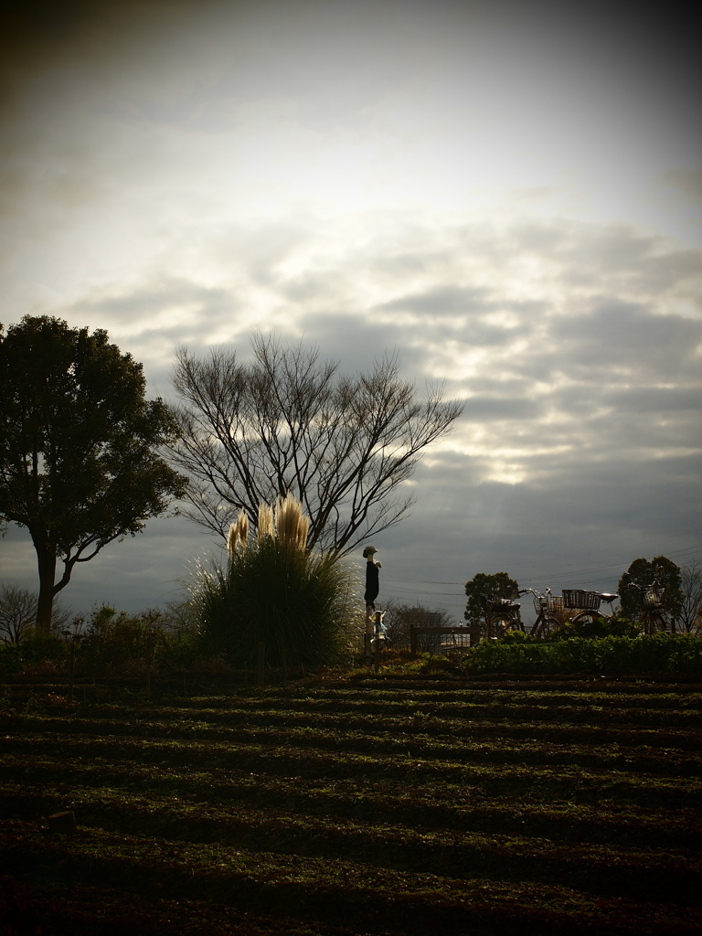 気分は北海道：30mm