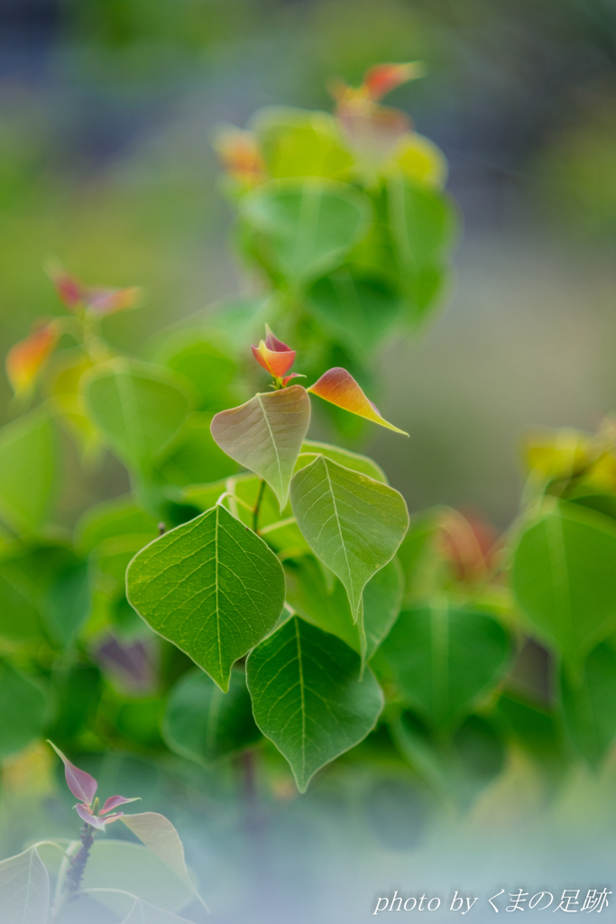 決してその手でふれてはいけないもの