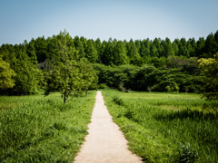 進む道