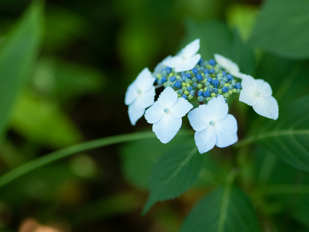 いつまでも過去の中にはいられない