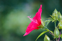 君よ、急ぐことなかれ