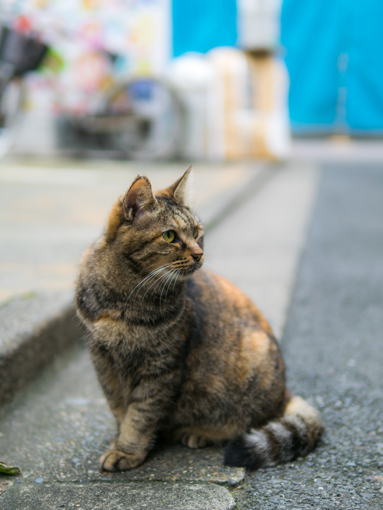 やわらか仕上げ