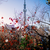 2017年12月30日(土)