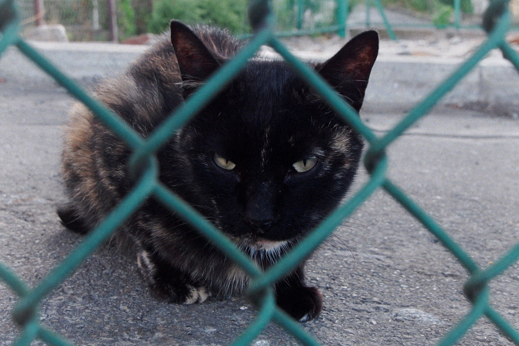 フレームわーく