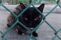 フレームわーく