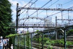 鉄分多めに