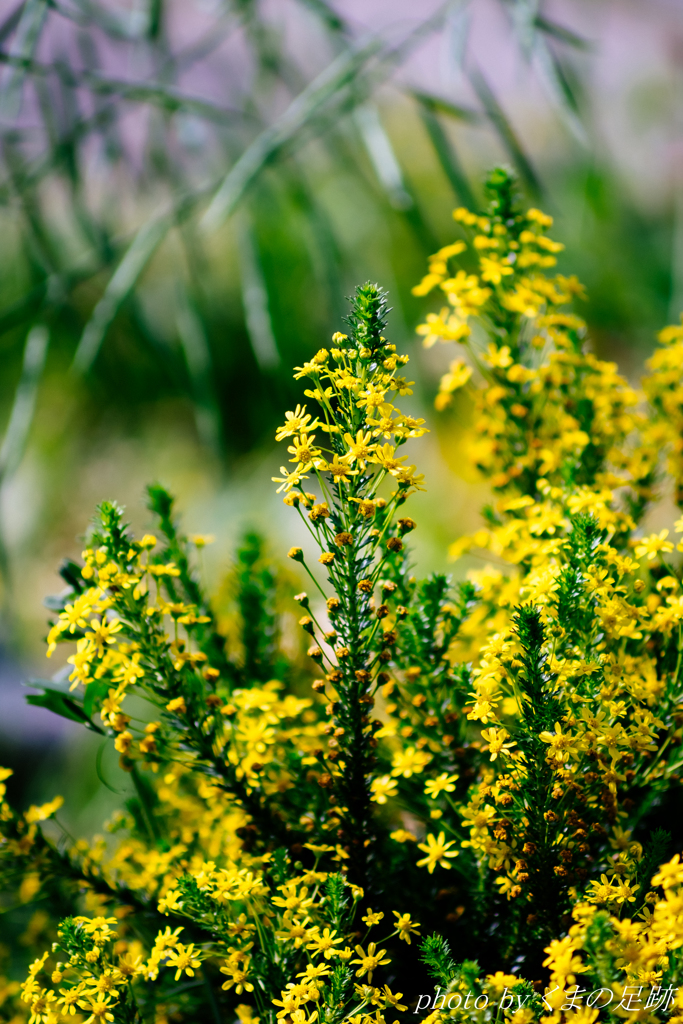 連休を振り返り　そのさん