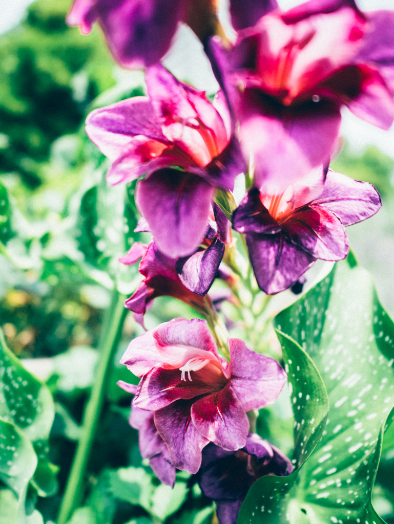 ちょっとお気に入り