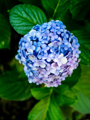 こころは・・・