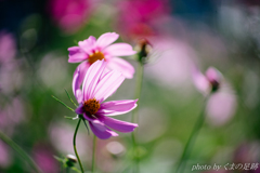 風に背中を押され