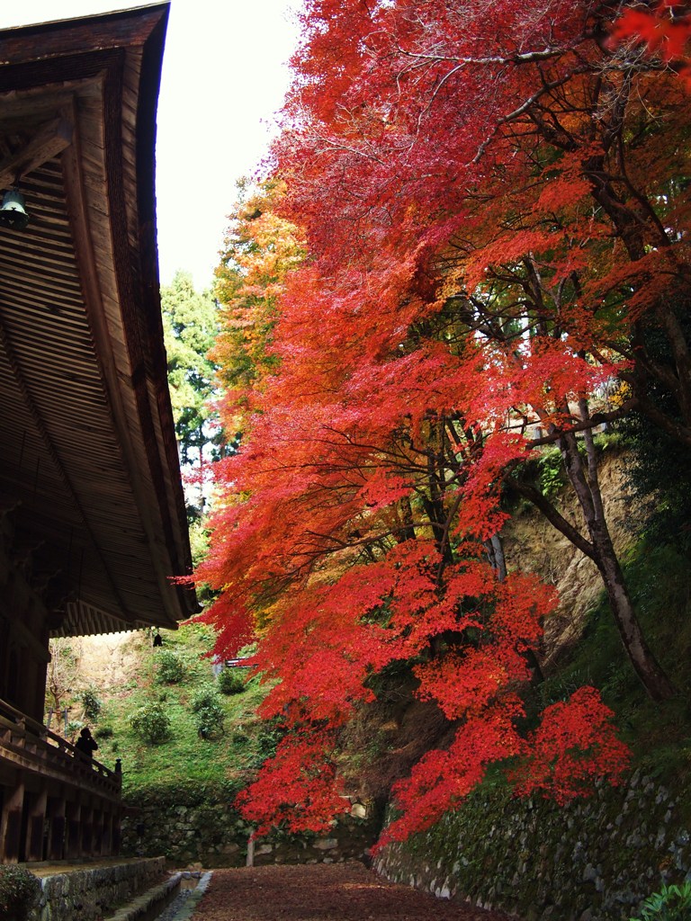 京都補完計画 其ノ伍拾肆